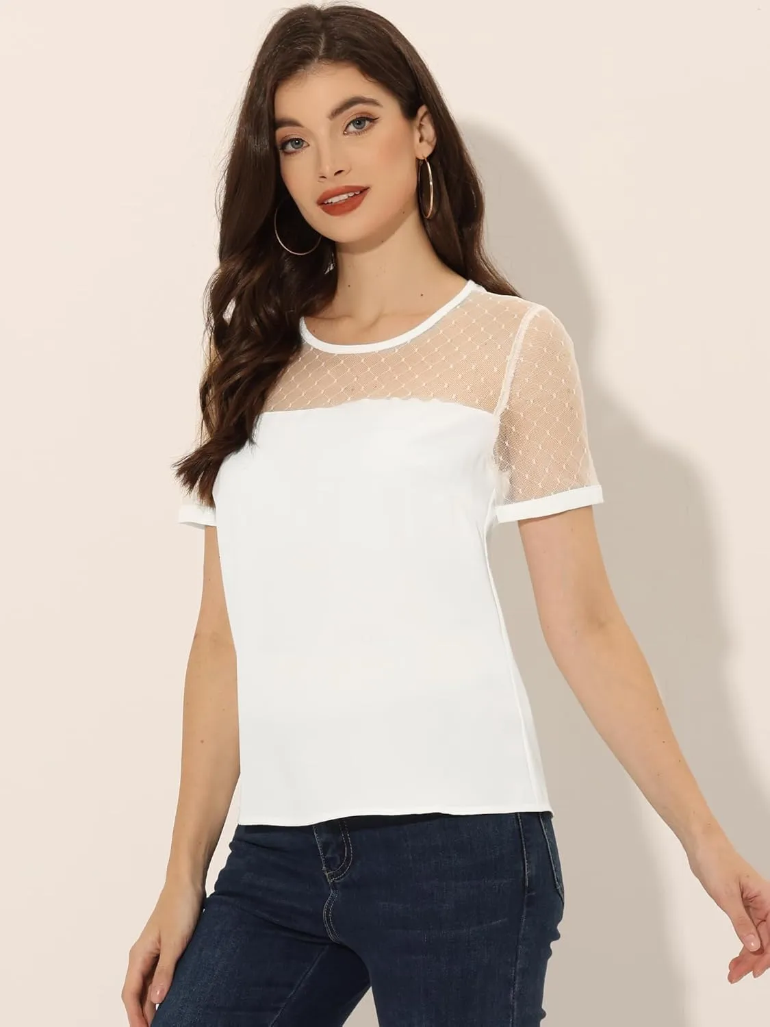Allegra K Women's Mesh Panel Top Round Neck Chiffon Sheer Sleeve Blouse
