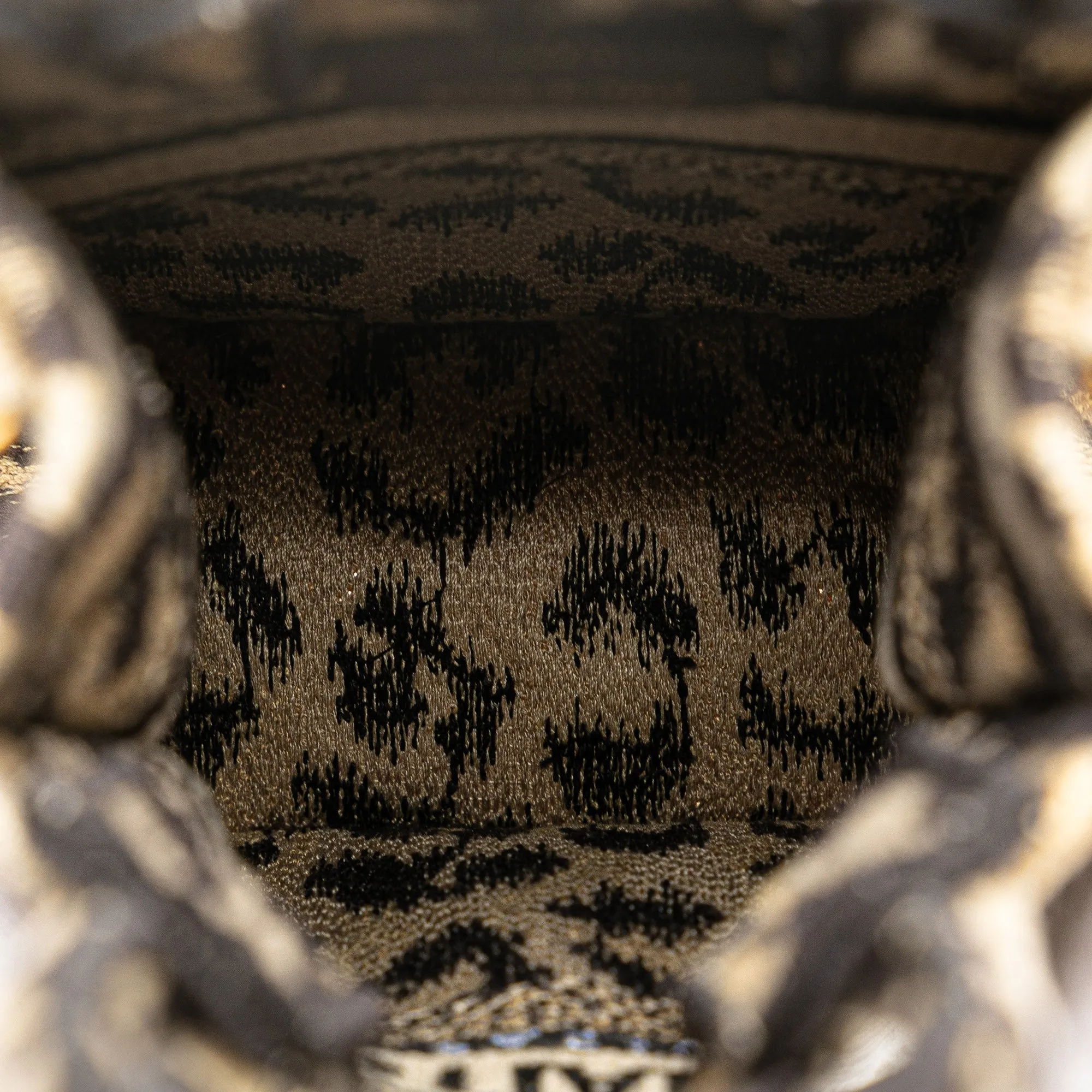 Brown Dior Mizza Mini Embroidered Canvas Leopard Vertical Book Tote Satchel