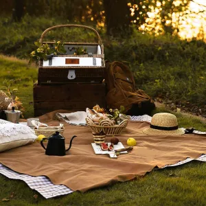 Canvas Picnic Rug - Gingham