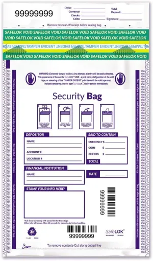 EGP Opaque Single Pocket Bag 9 x 12, 100 Bags