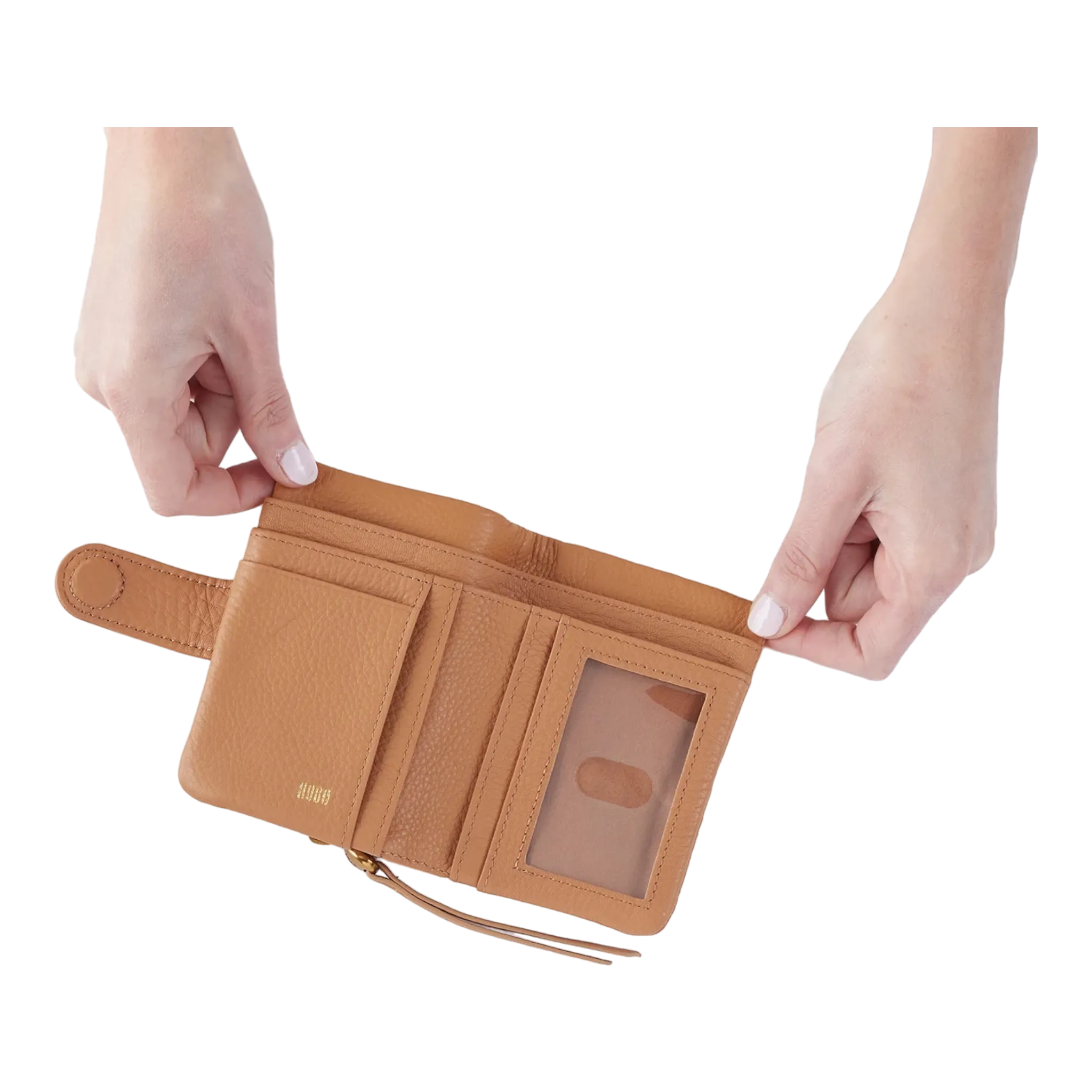 Fern Bifold