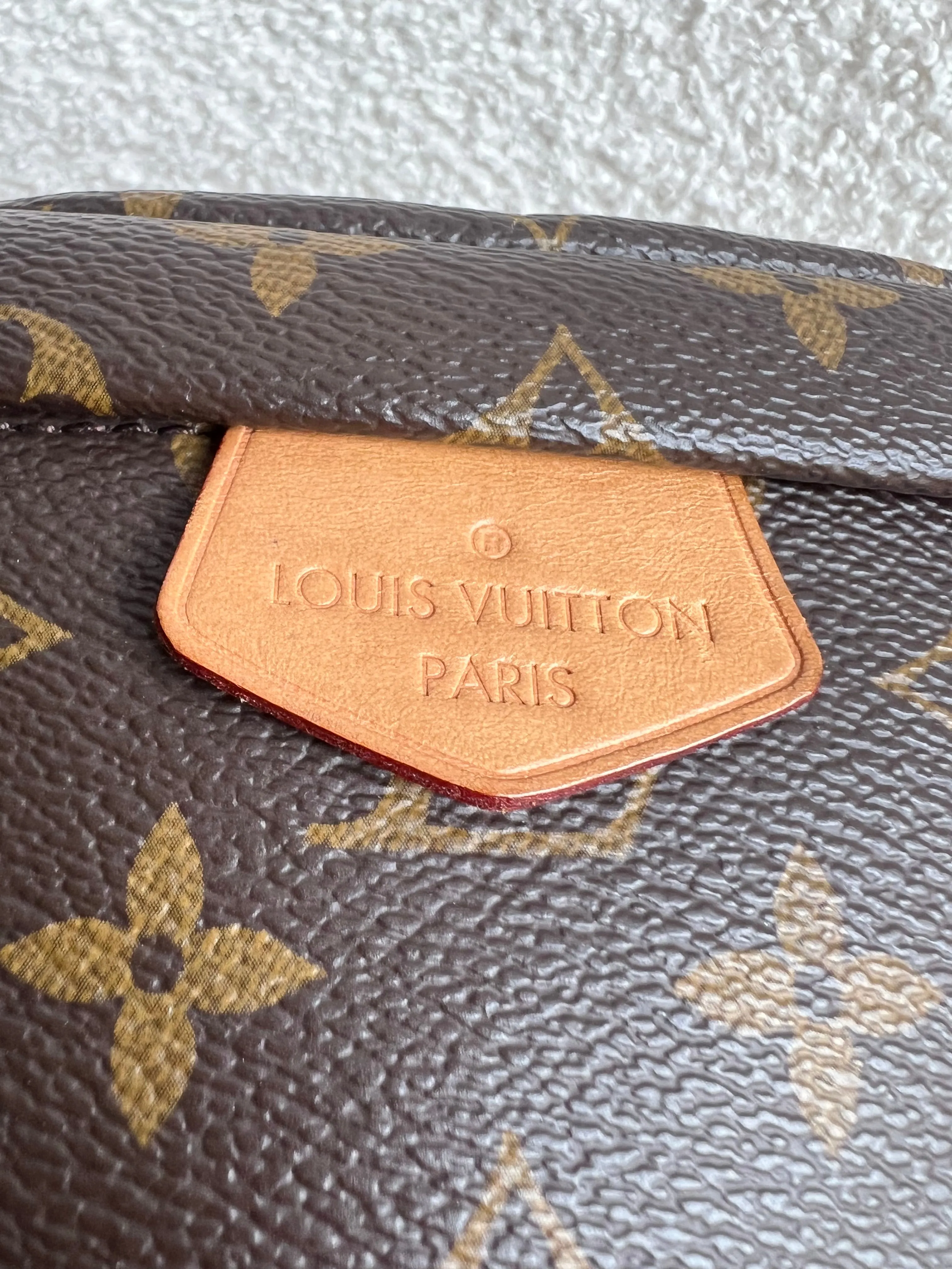 Louis Vuitton Bumbag in Monogram Canvas