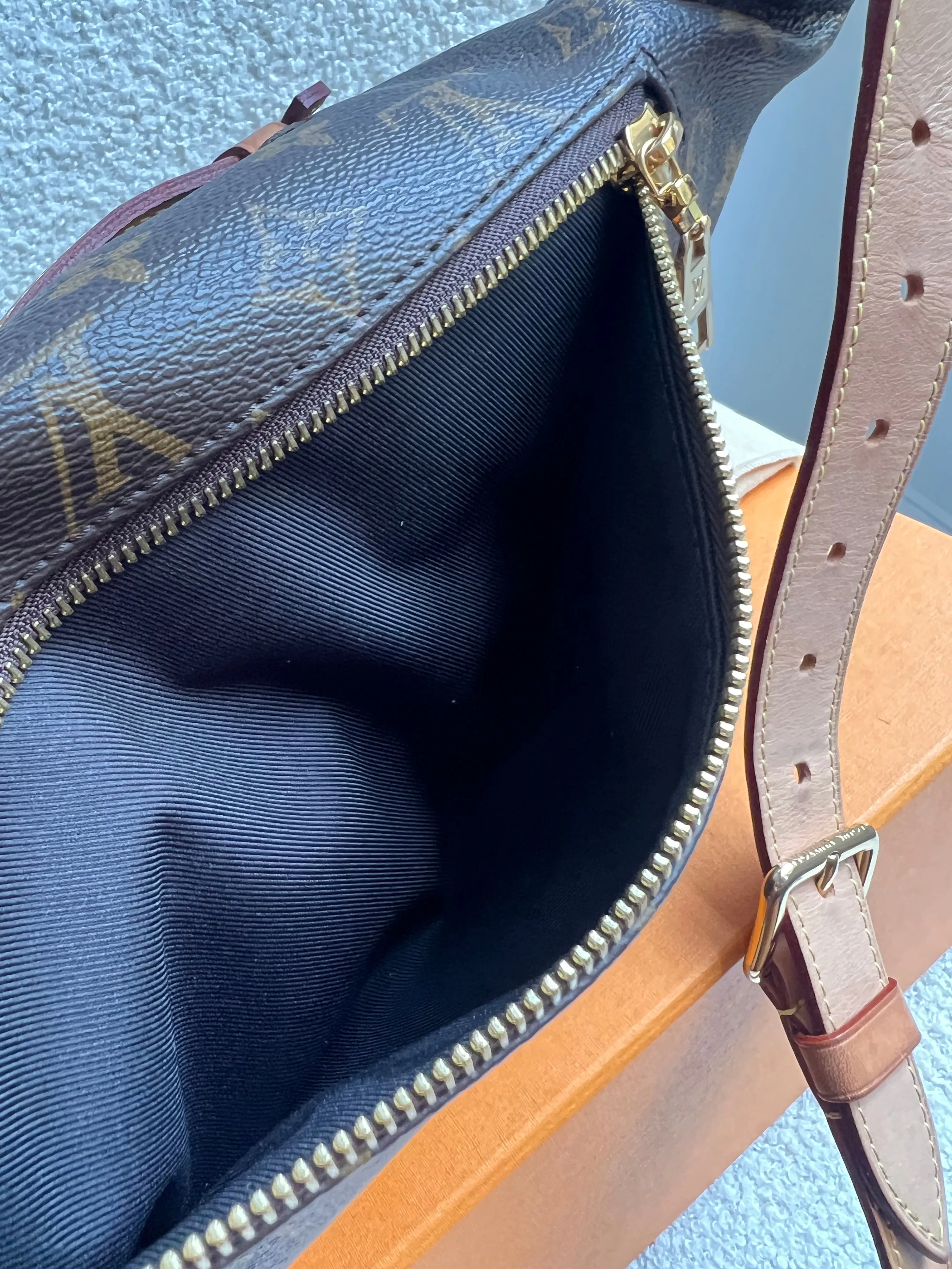 Louis Vuitton Bumbag in Monogram Canvas