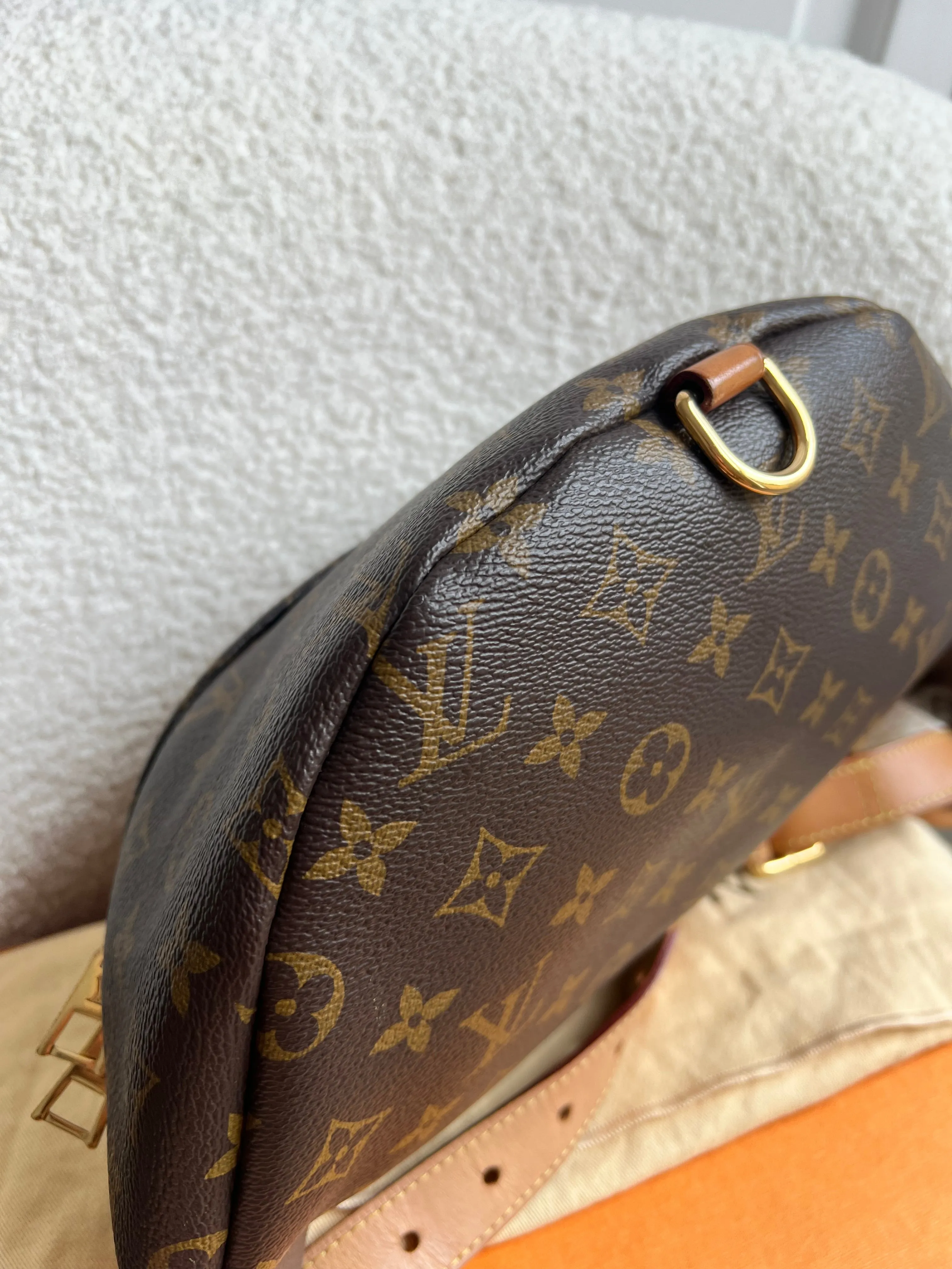 Louis Vuitton Bumbag in Monogram Canvas