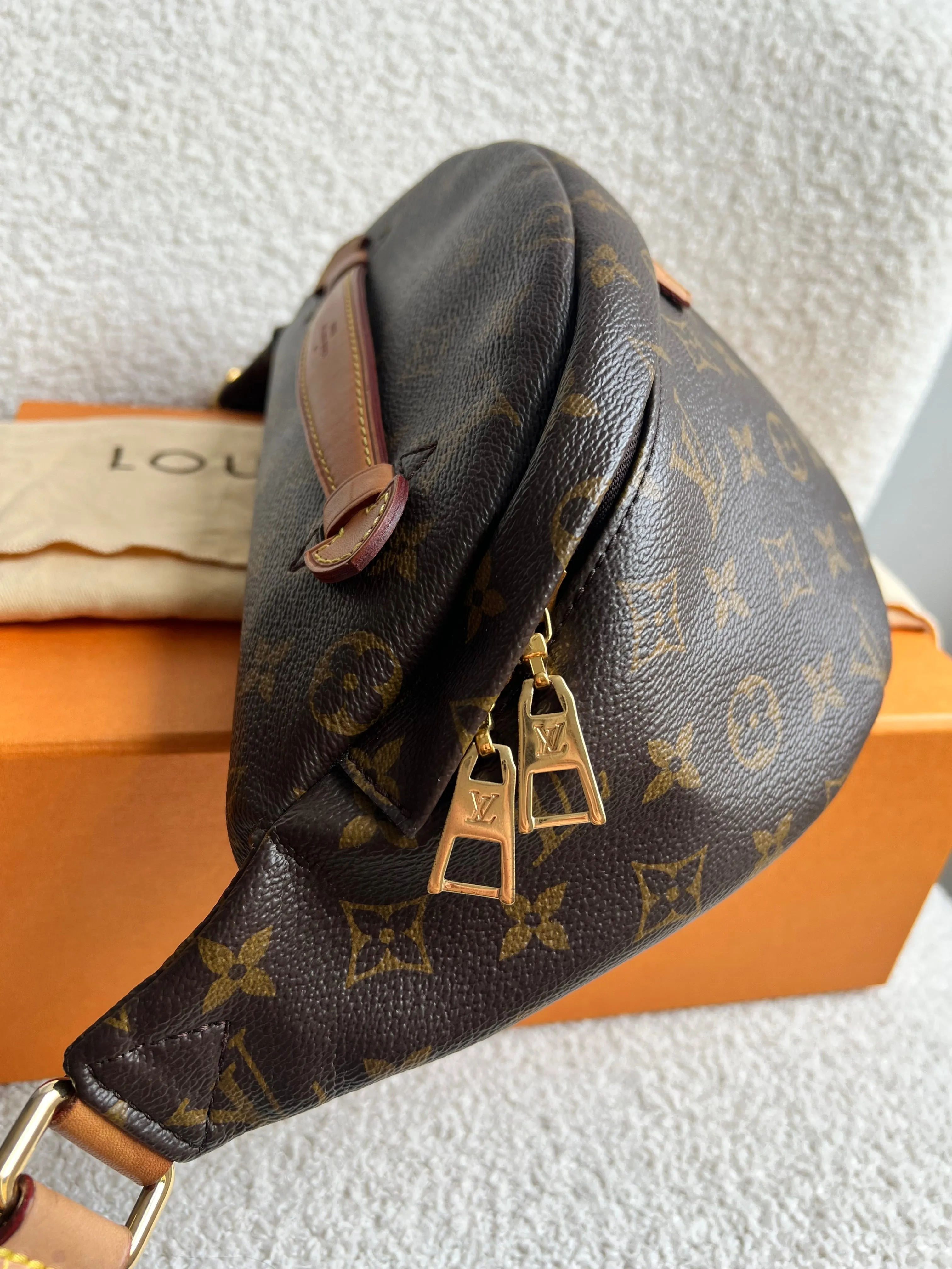 Louis Vuitton Bumbag in Monogram Canvas
