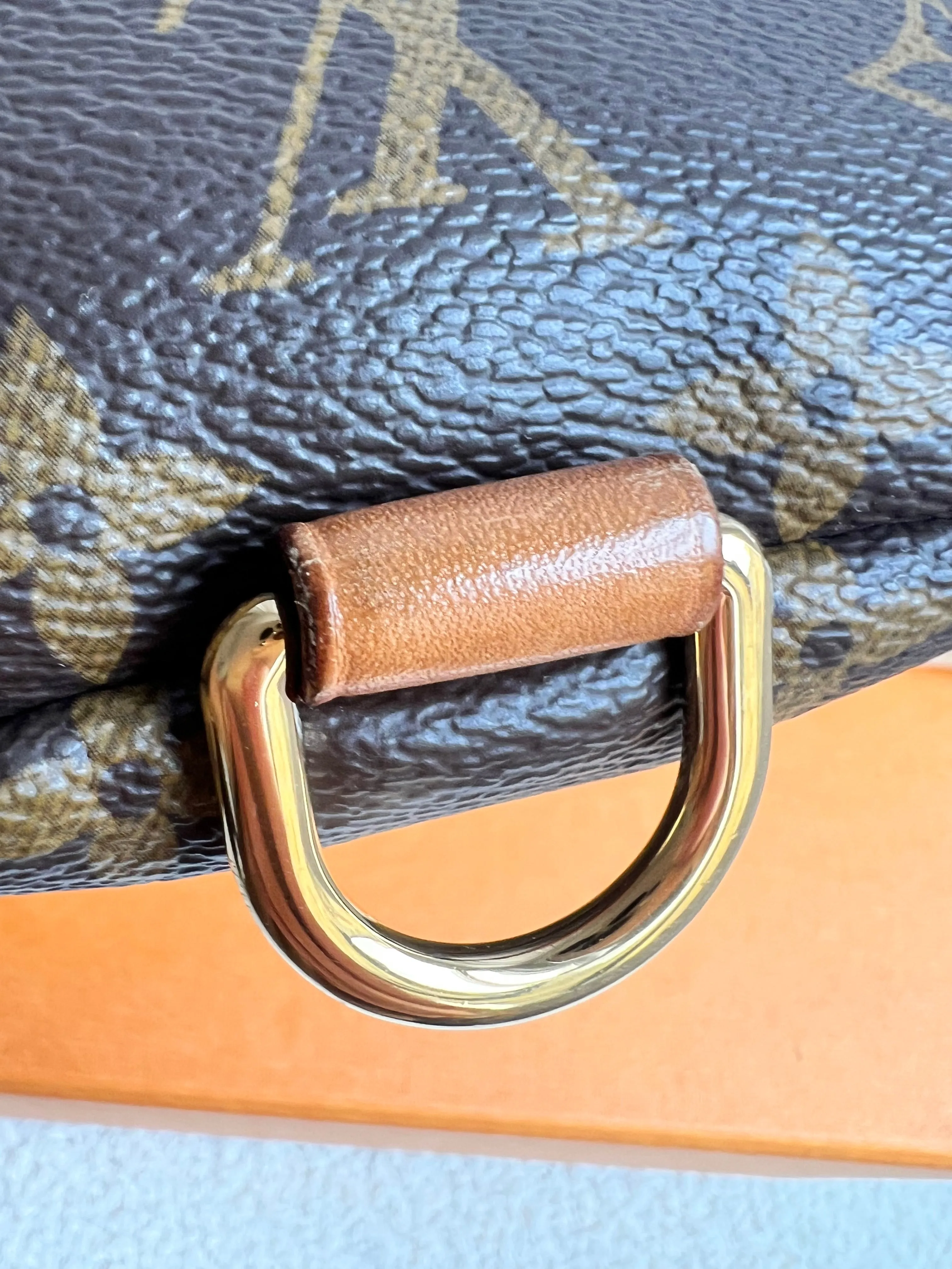 Louis Vuitton Bumbag in Monogram Canvas