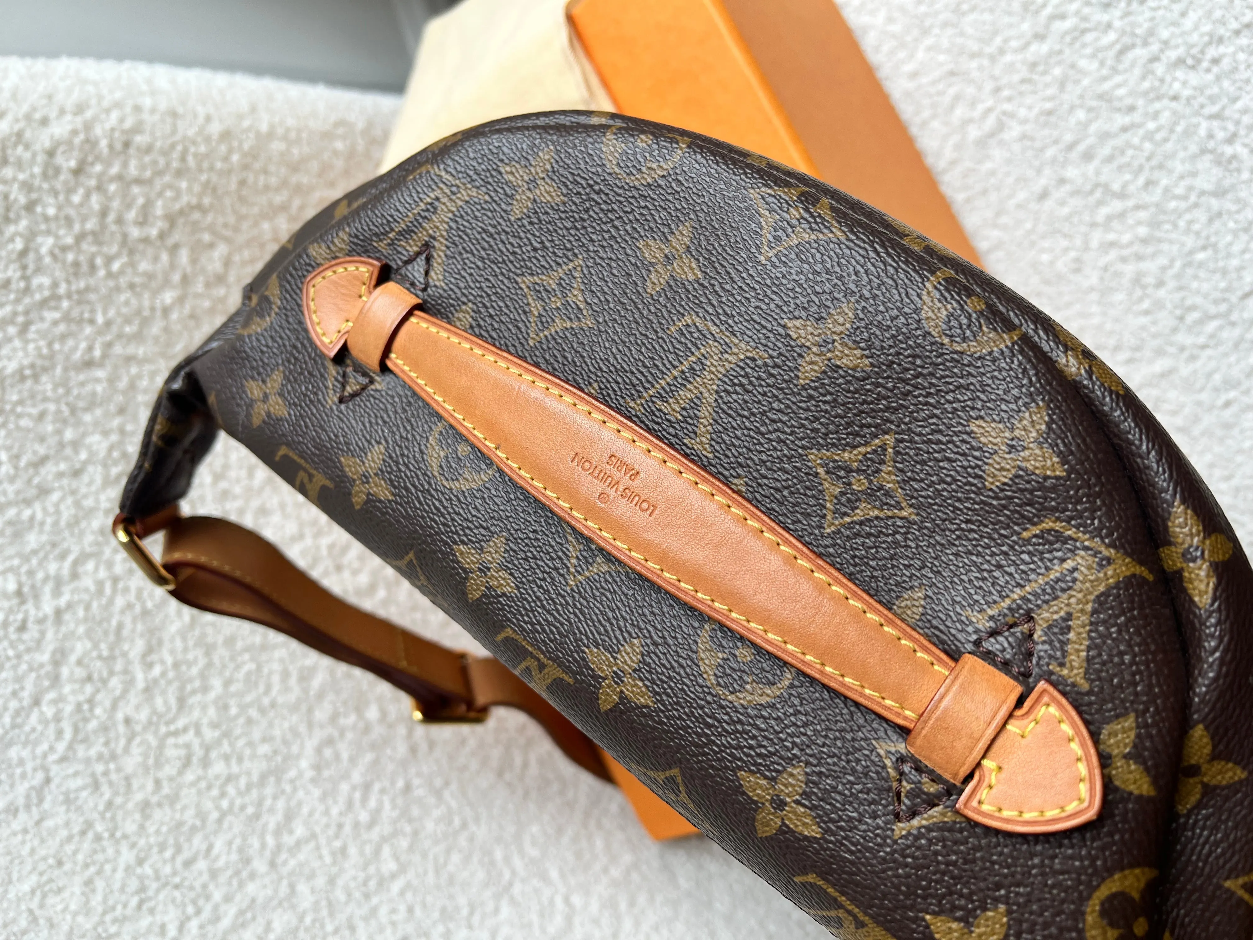 Louis Vuitton Bumbag in Monogram Canvas