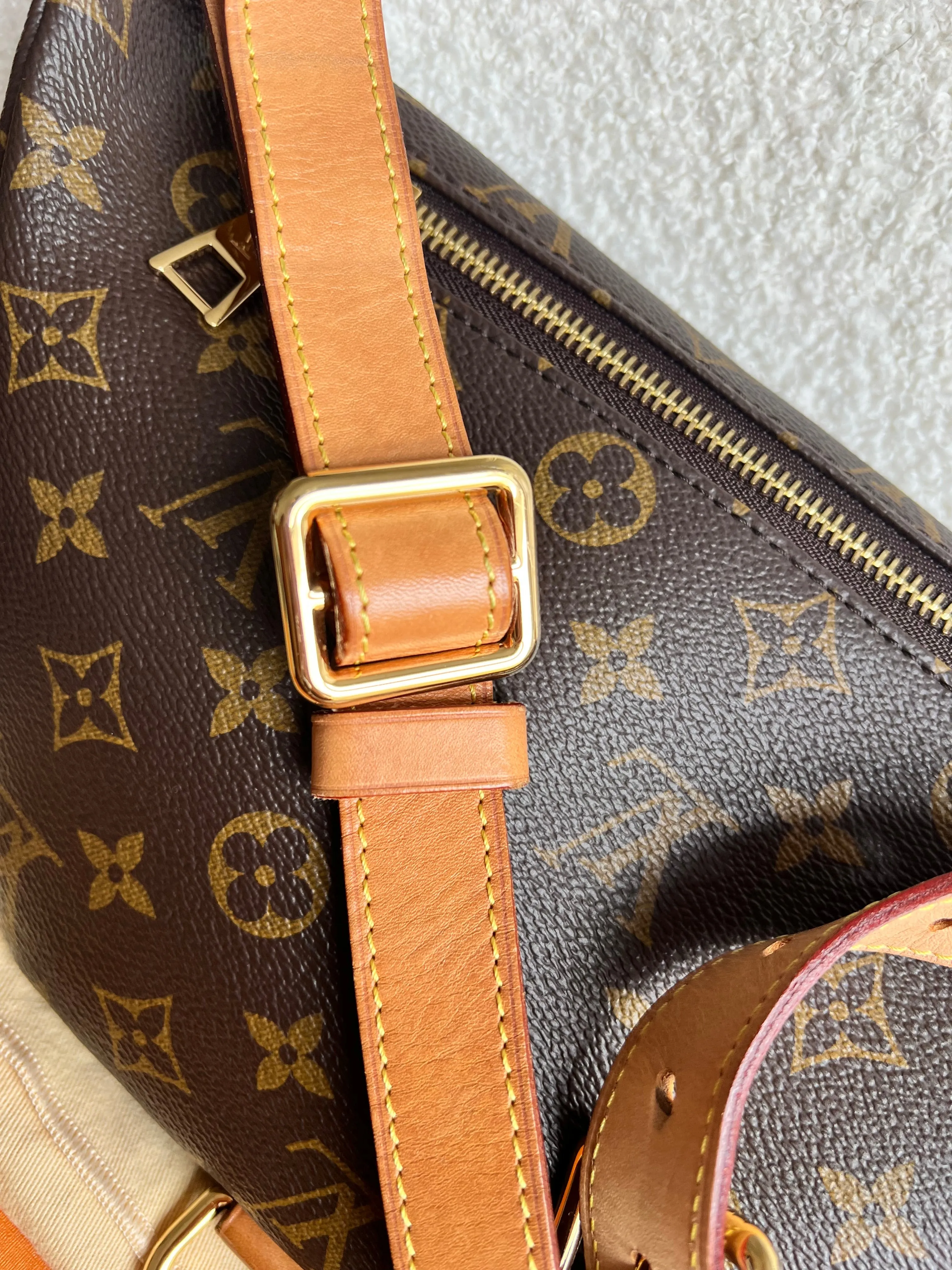 Louis Vuitton Bumbag in Monogram Canvas