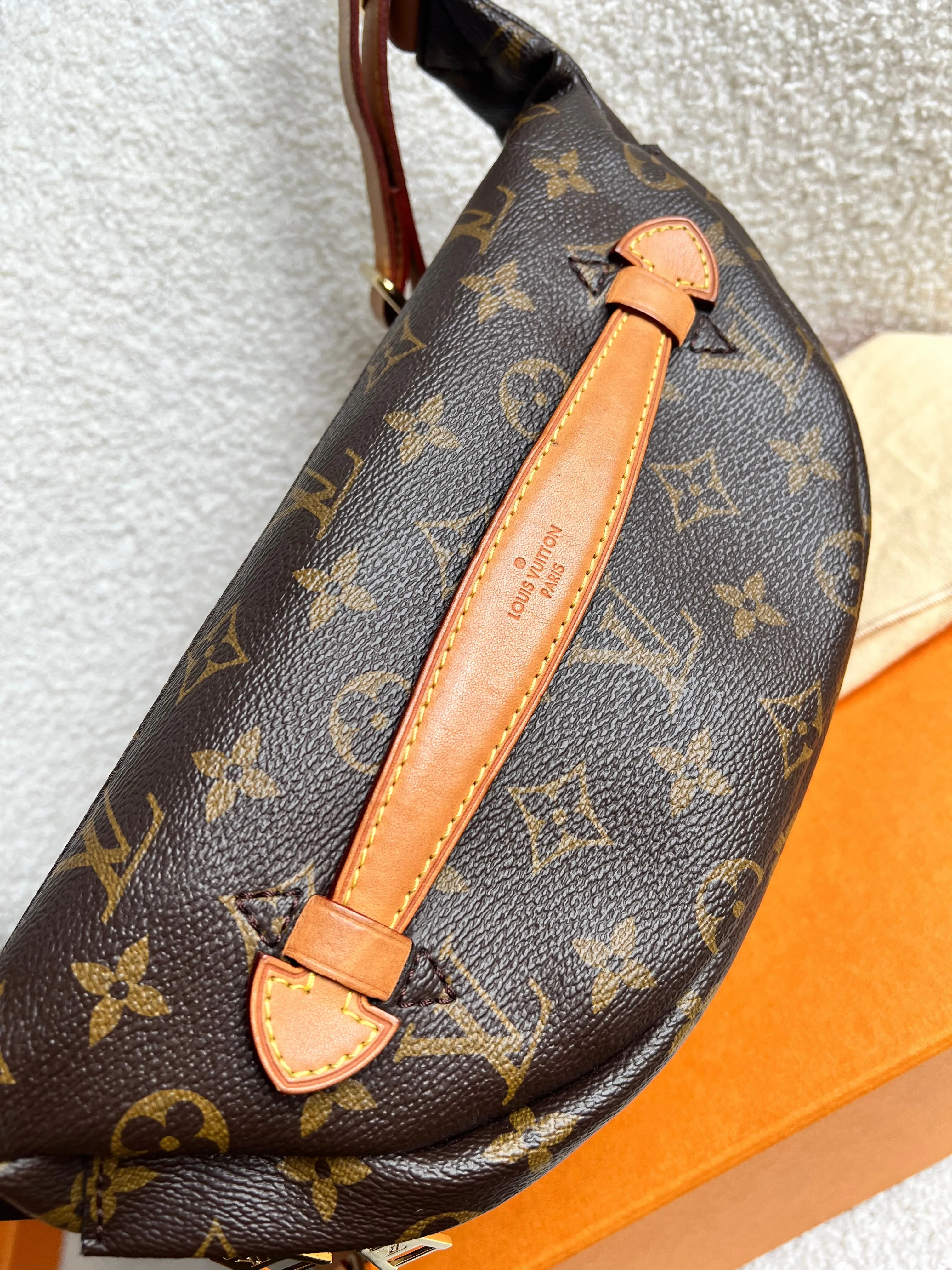 Louis Vuitton Bumbag in Monogram Canvas