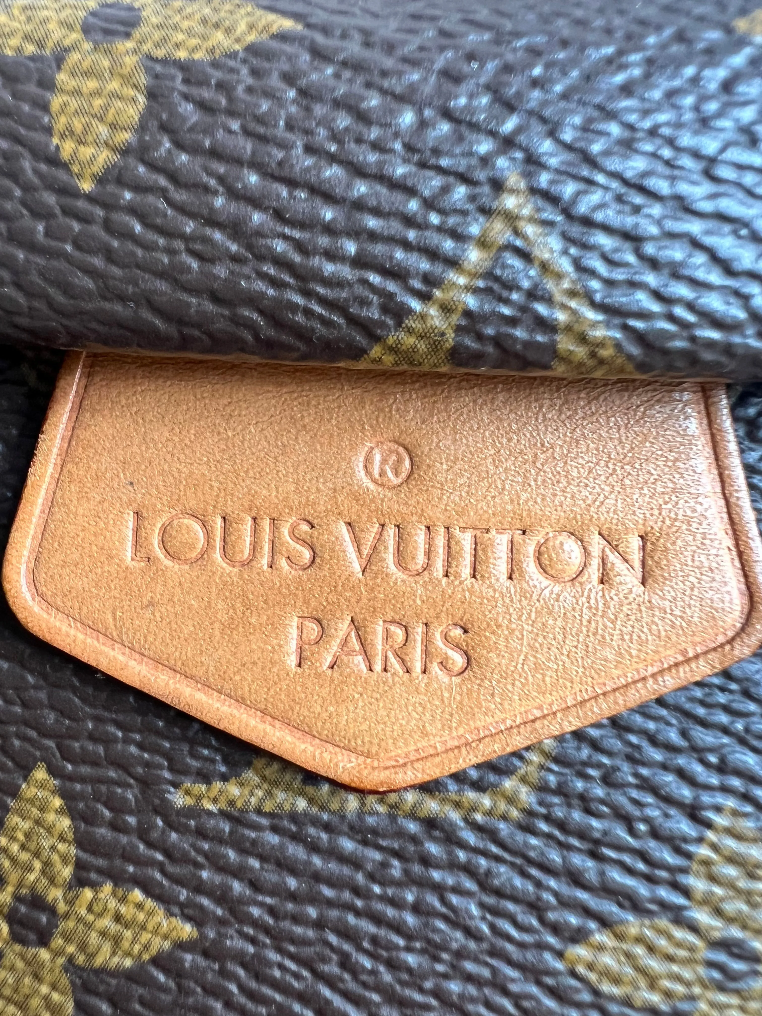 Louis Vuitton Bumbag in Monogram Canvas