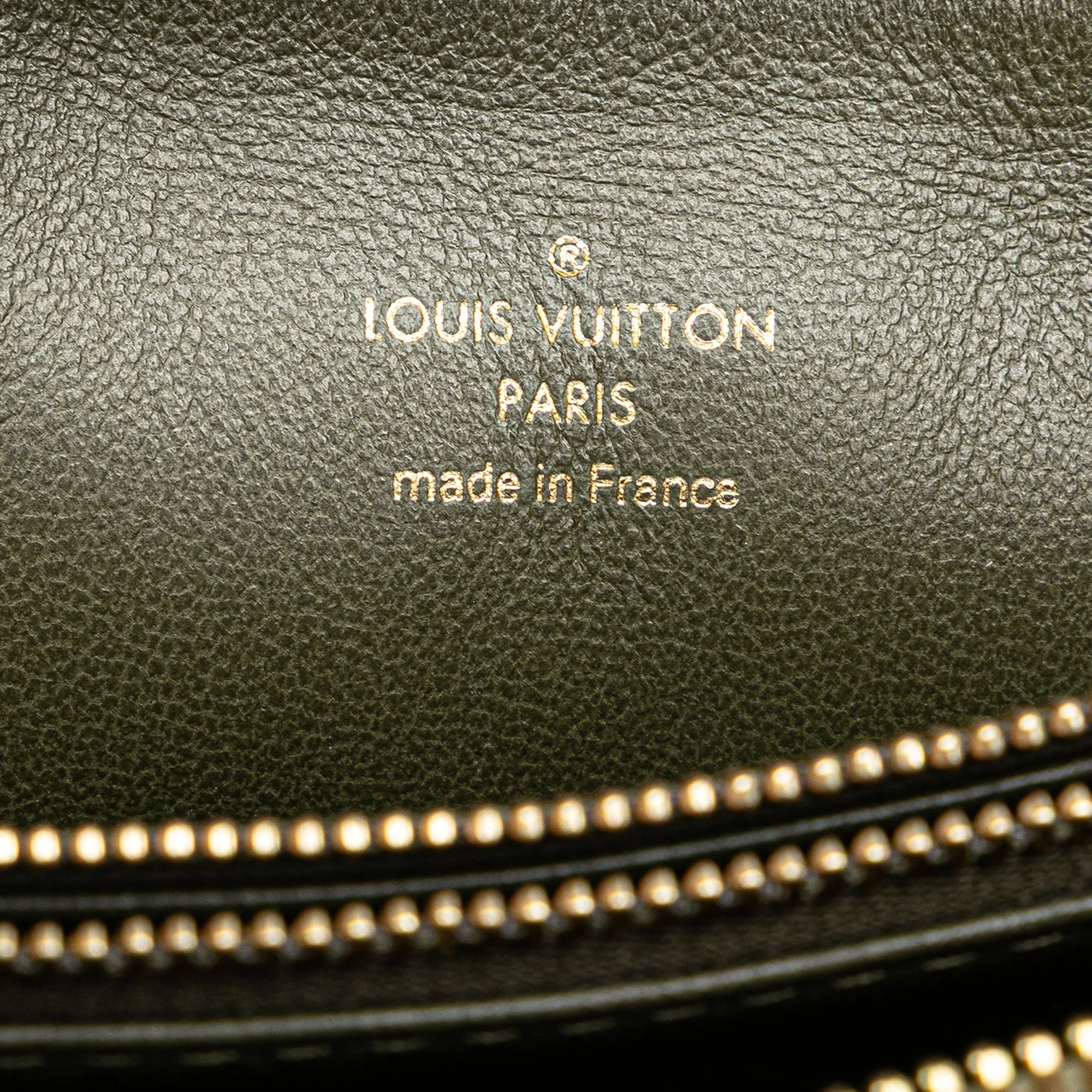 Louis Vuitton Monogram Embossed Puffy Lambskin Coussin MM