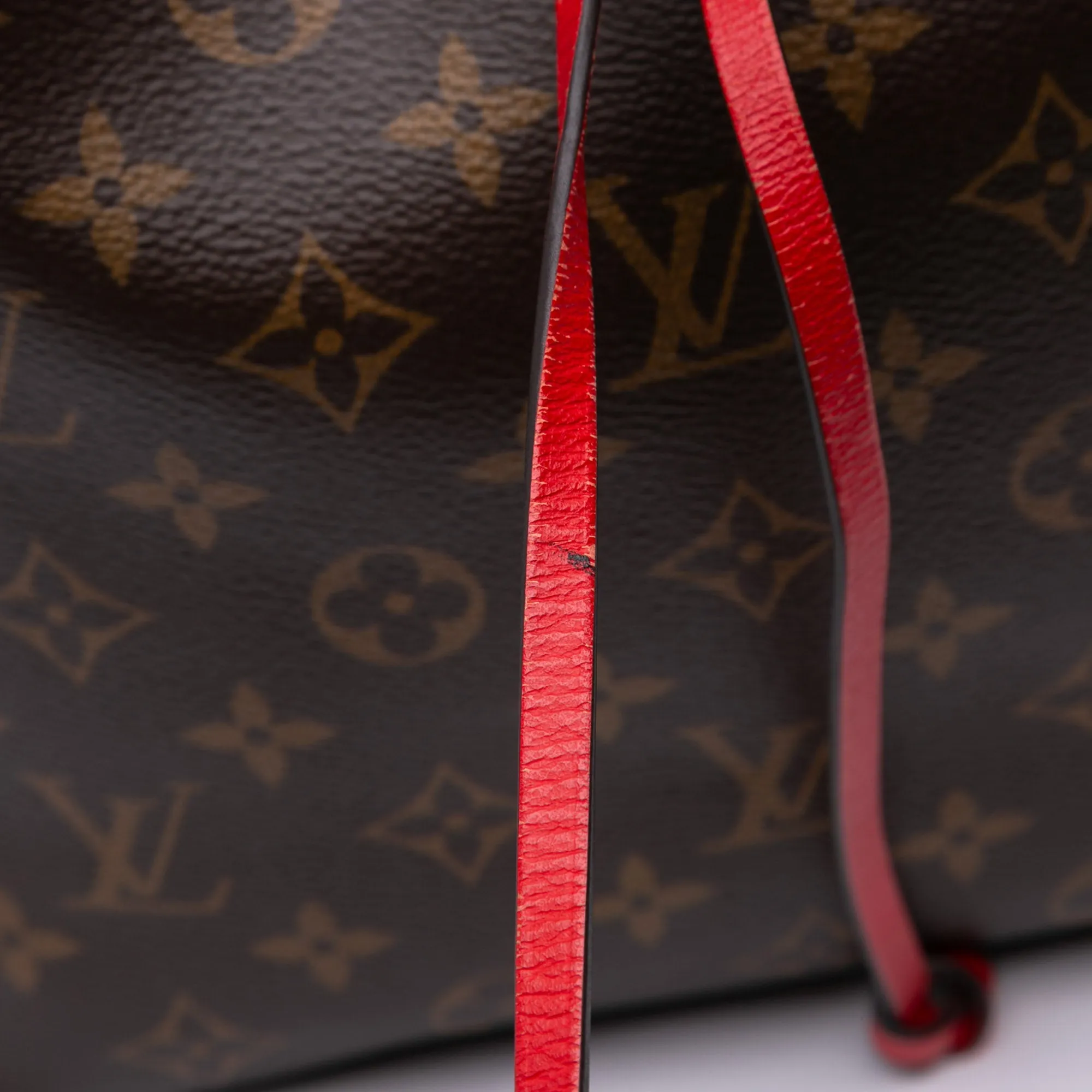 Louis Vuitton Monogram Neonoe MM