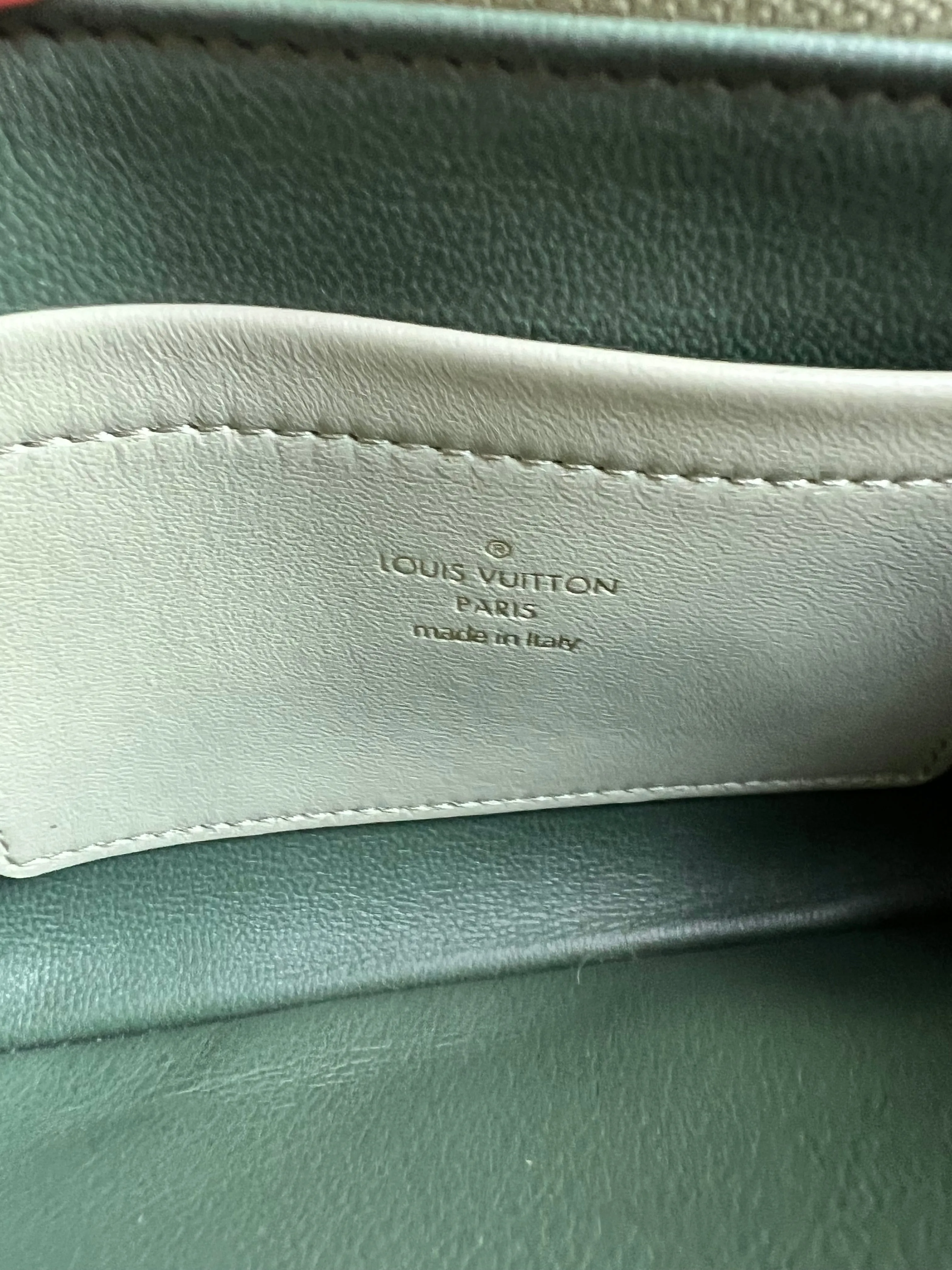 Louis Vuitton Sage Green Coussin Pochette (RRP £2090)