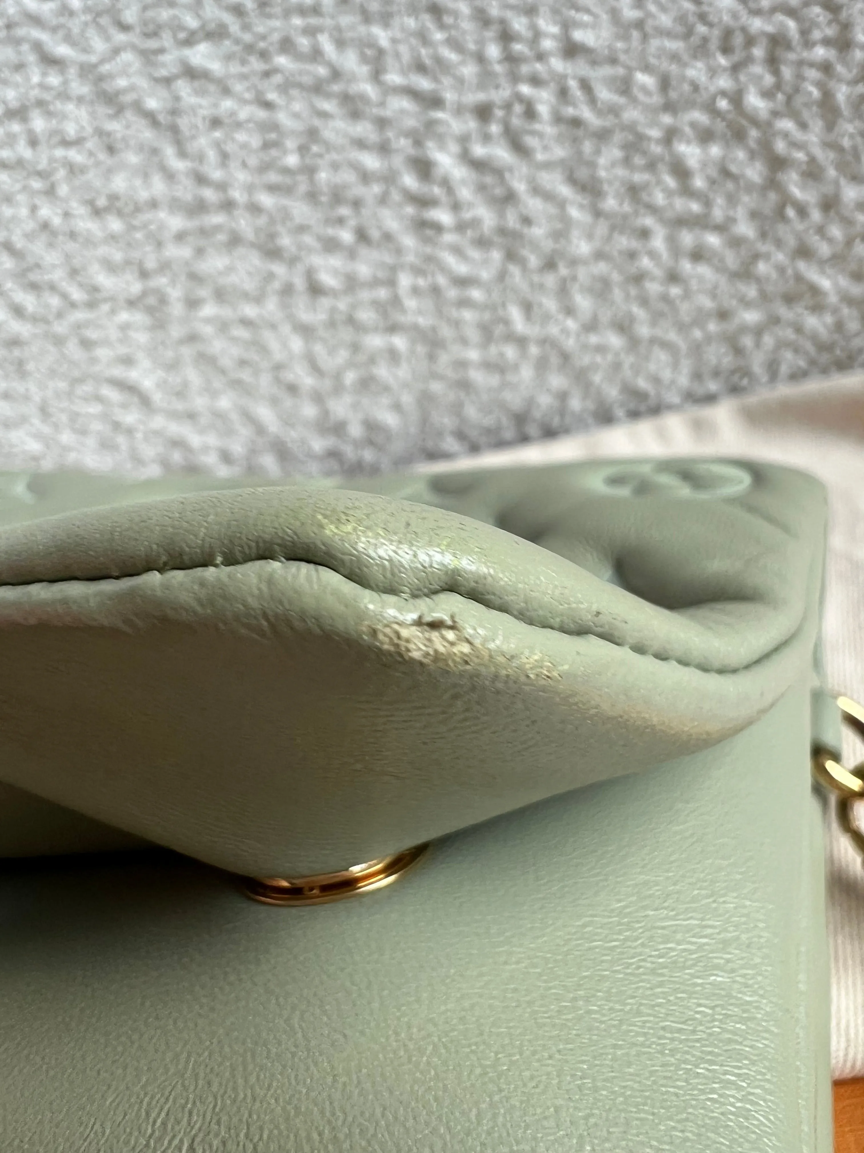 Louis Vuitton Sage Green Coussin Pochette (RRP £2090)