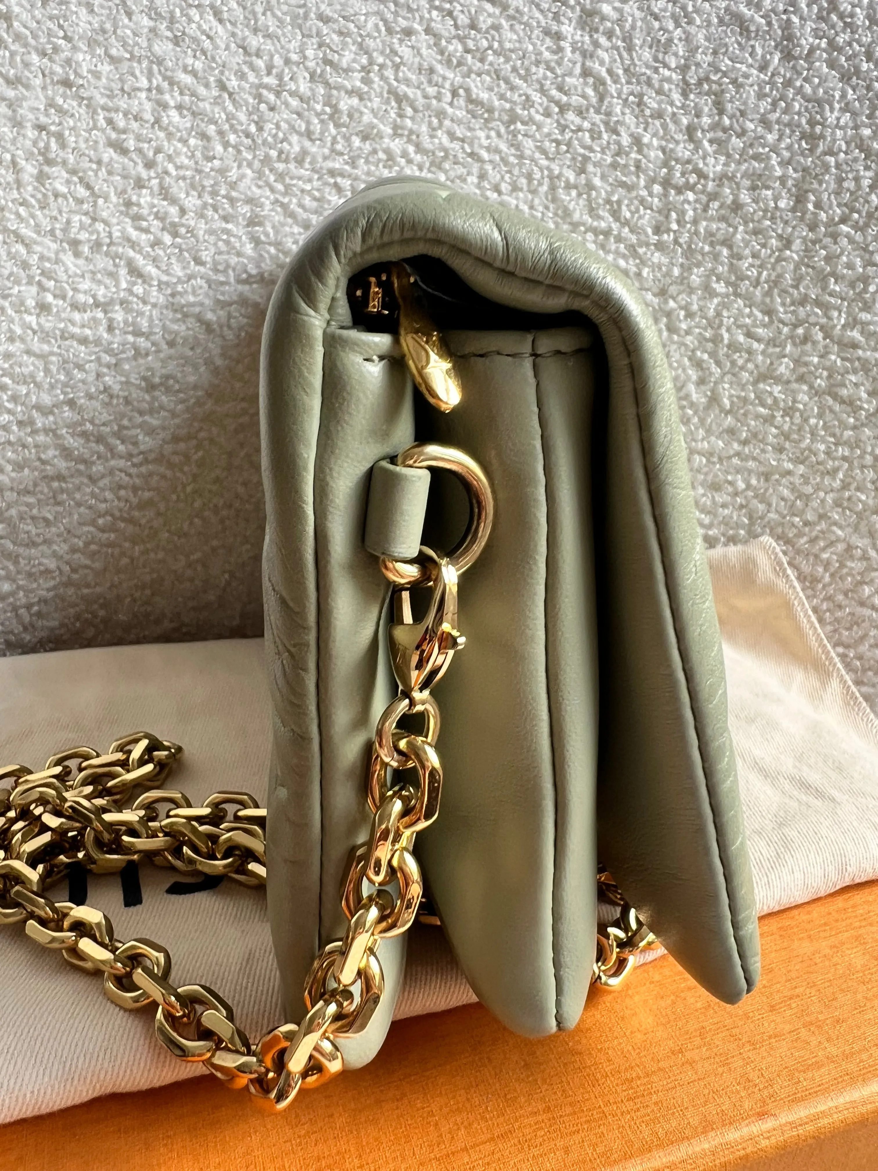Louis Vuitton Sage Green Coussin Pochette (RRP £2090)