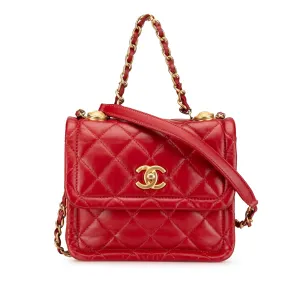 Mini Quilted Lambskin Soft Square Flap