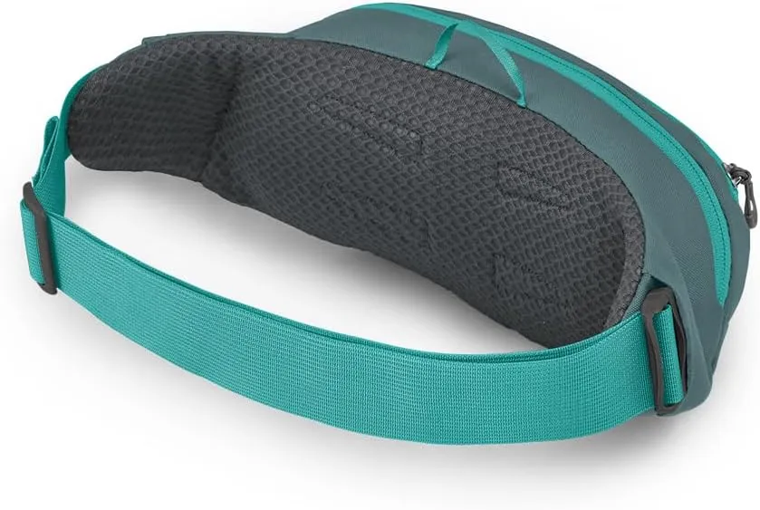 Osprey Daylite Waist Pack