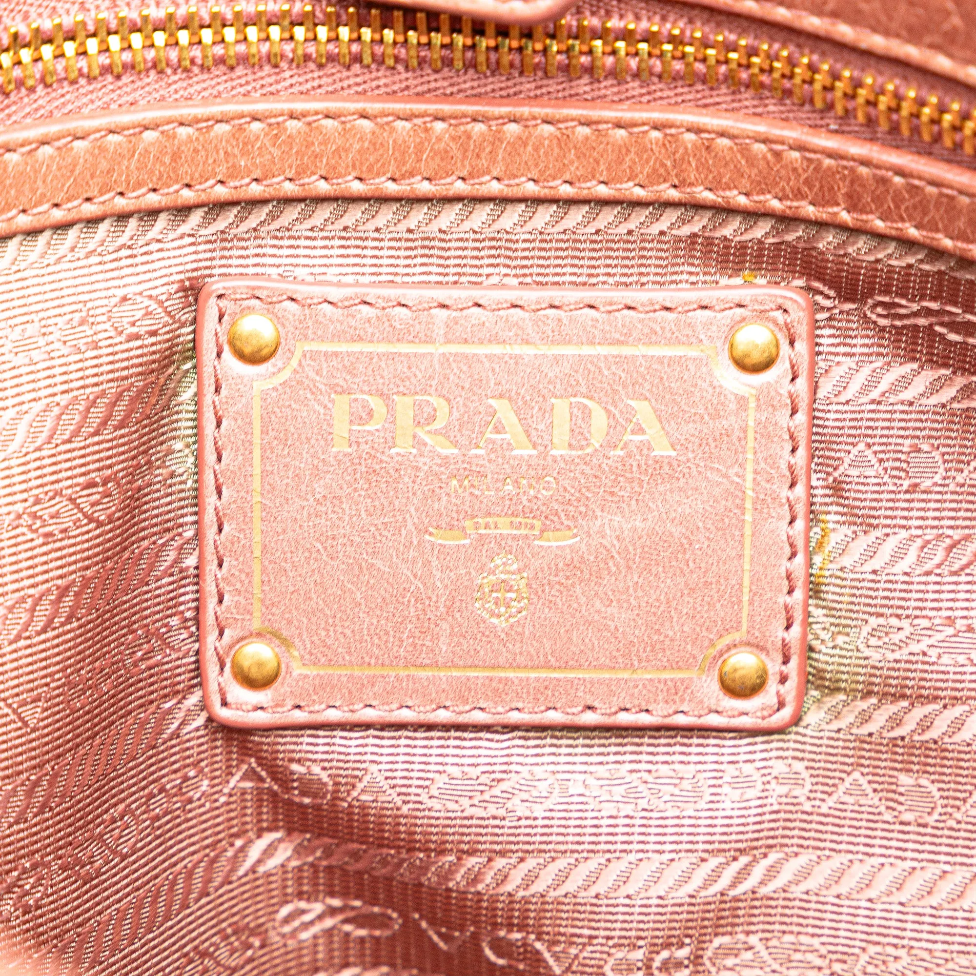 Vitello Shine Satchel